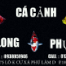 CÁ CẢNH LONG PHỤNG