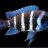 aquavinhha