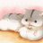 Baobest@