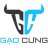 gaocung2020